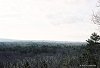 где-то там Арлингтон